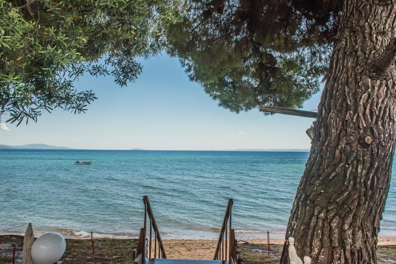 Citro By The Sea Hotel Metamorfosi  Luaran gambar